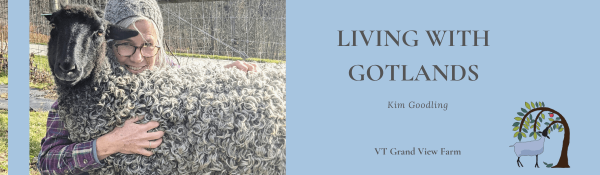 Skeins of Yarn - natural white - Vermont Shepherd